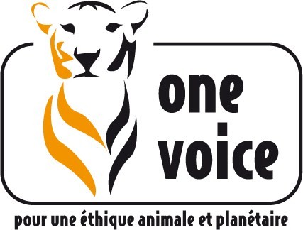 logo-One-Voice_BASELINE