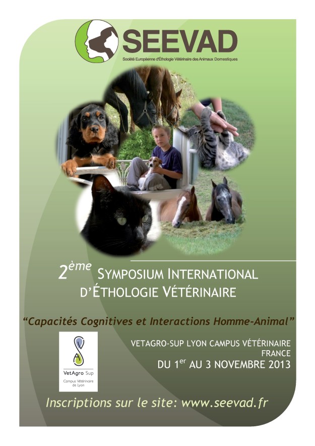 symposium-2013_seevad-affiche